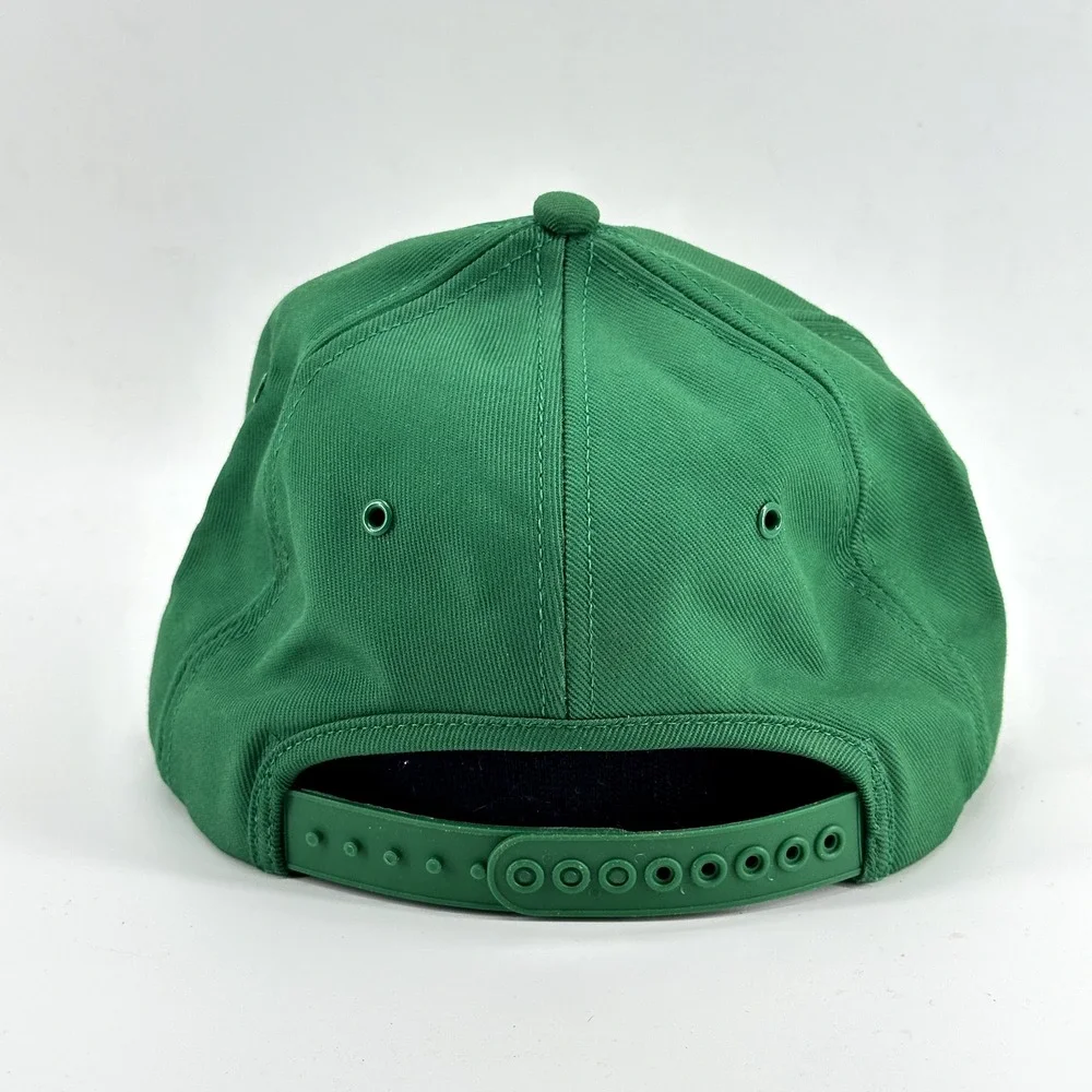 VINTAGE Pocklington Poly-Gene Patch Snapback Hat Cap Agriculture Farming 80s 90s